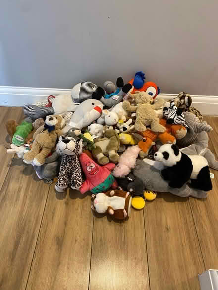 Photo of free Teddy Bundle x53 (Horndon SS17) #1