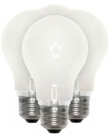 Photo of free Incandescent Light Bulbs (Boonton) #1