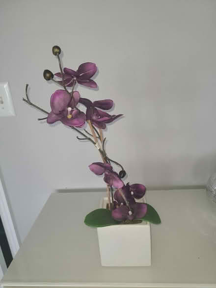 Photo of free Faux orchid (Piney Orchard) #1