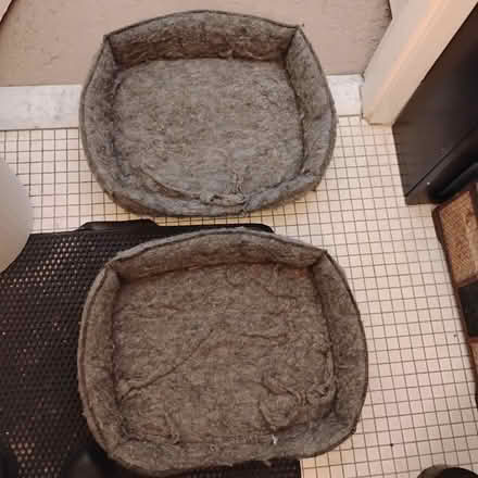 Photo of free Cat Beds- Two (West Harlem) #2
