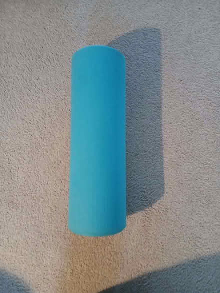 Photo of free Exercise Bolster (North Ascot SL5) #1