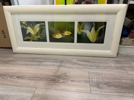 Photo of free Photo frame (Borehamwood) #1