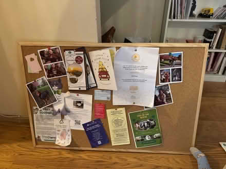 Photo of free Pin board (Hulme M15) #2