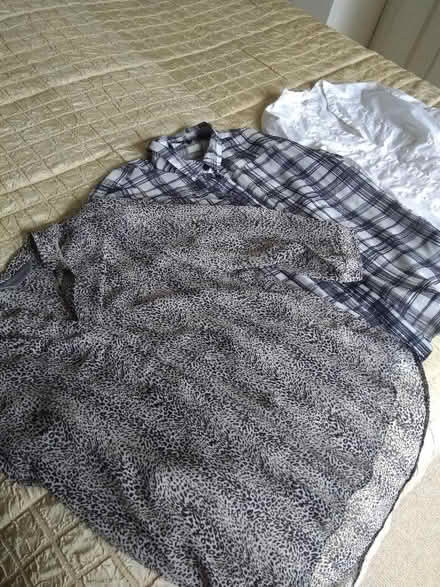 Photo of free 3 women's blouses, size 8/10 (Millhouses S7) #1