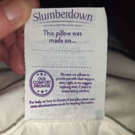 Photo of free Pillow (Upper Holloway N19) #1