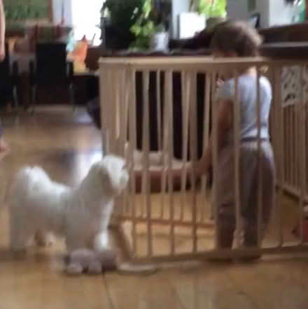 Photo of free Rectangular wooden pen (South Kensington SW7) #1