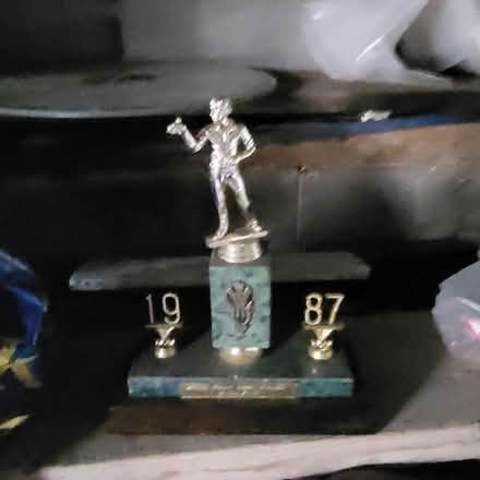 Photo of free Trophies (Dublin) #3