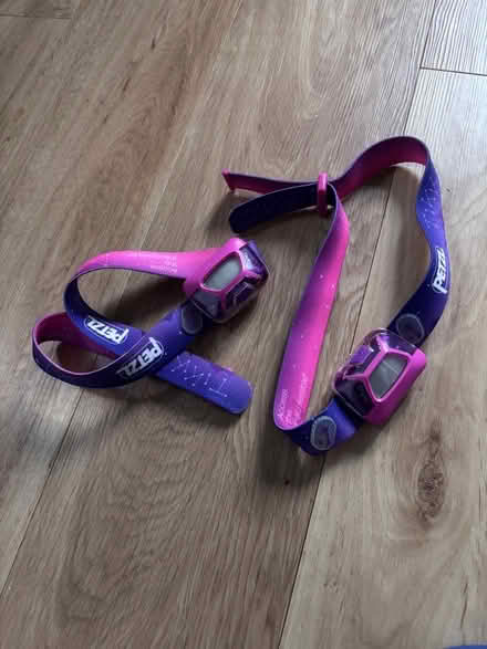 Photo of free Children head torches x 2 (Southdown) #1