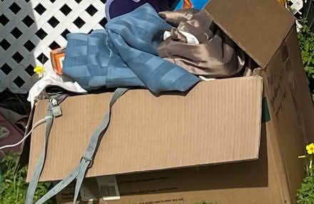 Photo of free Lots double-layer window curtains (20 Alvina Ave, San Rafael) #1