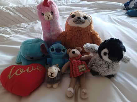 Photo of free Cuddly toys (Sale M33) #1