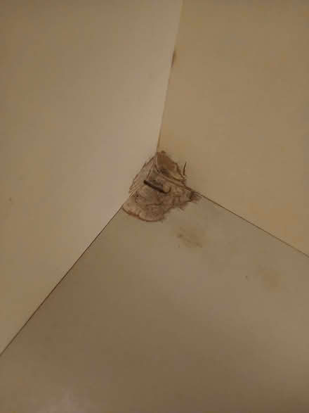 Photo of free Hamster Cage (North Sheen TW9) #4