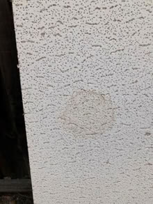 Photo of free 4 Armstrong suspended ceiling tiles (HW 17 at HW 85) #2