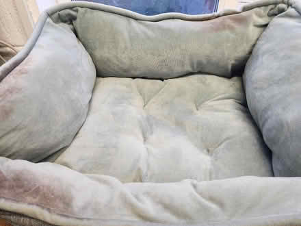 Photo of free Small dog bed (Portchester PO16) #2