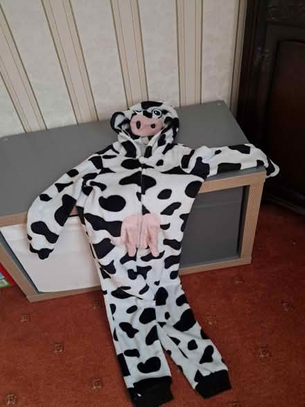 Photo of free Cow onesie (Belper DE56) #1