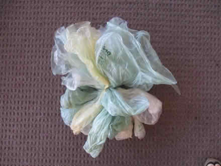 Photo of free single-use plastic bags (casselberry) #1