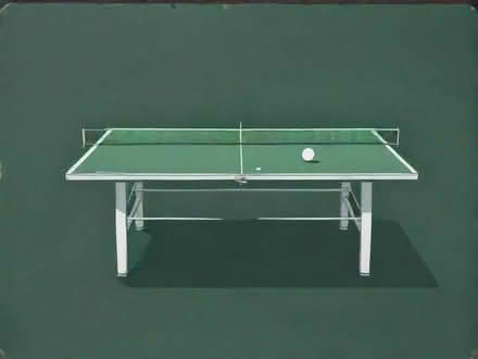 Photo of Ping pong table (Teddington TW11) #1