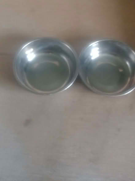 Photo of free Small dog /cat food & water bowls (Kessingland NR33) #1