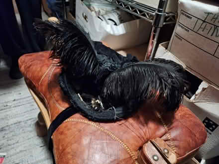 Photo of free Vintage / Antique hat, boa, shawl (Dublin 16) #1