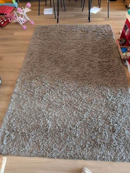 Photo of free Large grey shaggy rug (AL3) #1