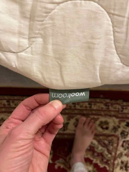 Photo of free Wool pillow (SE1) #2