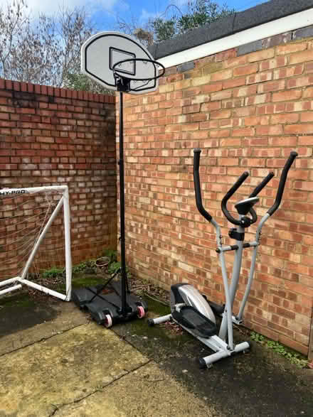 Photo of free Garden stuff (N10 2NL) #2