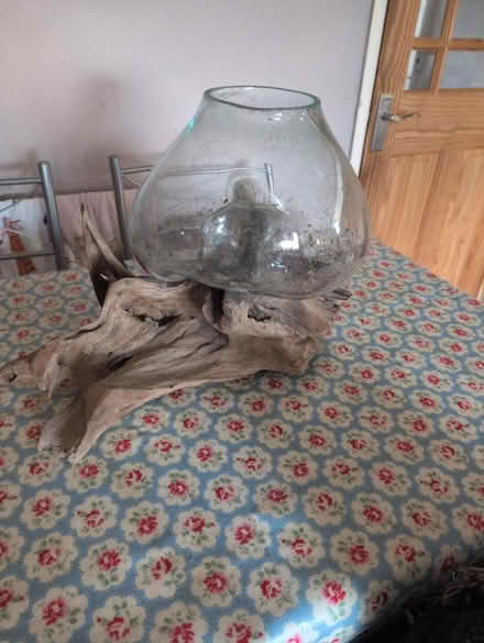 Photo of free For plants (Harrold Bedford) #4