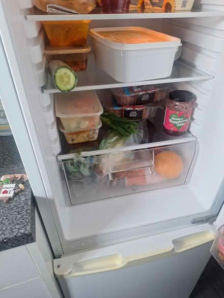 Photo of free Fridge freezer (Newtown B19) #1