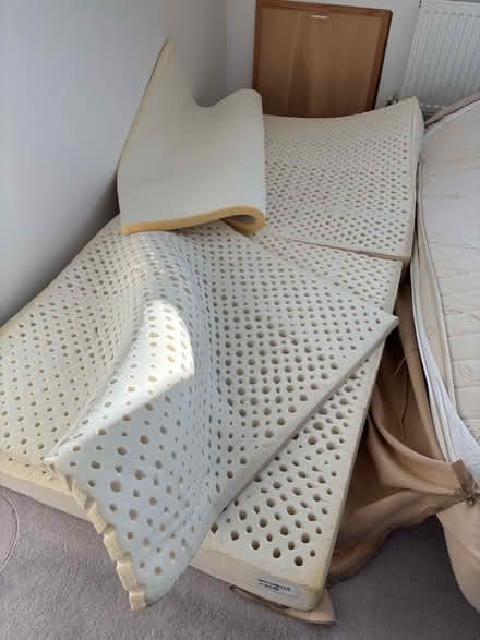 Photo of free Natural latex foam pieces (New Marston OX3) #1