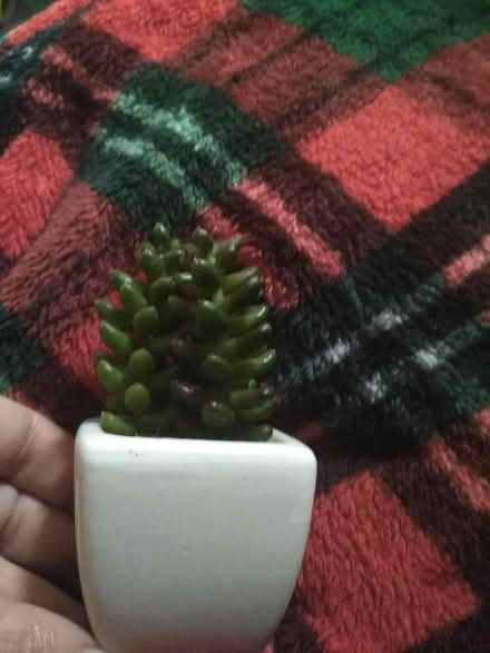 Photo of free Small artificial plant (Dublin central) #1