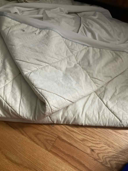 Photo of free Padded mattress cover (Point Richmond) #1