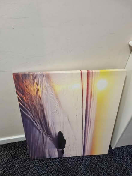 Photo of free Picture (SE20) #2