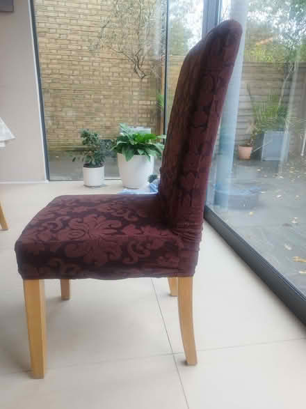 Photo of free 6 dining room chairs (Twickenham TW2) #1