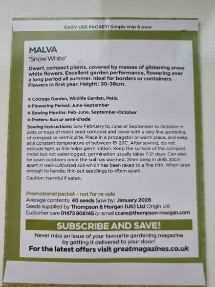 Photo of free Malva flower seeda (Abingdon Oxfordshire OX14) #2