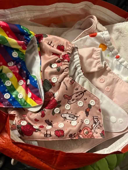 Photo of free Reusable nappies (Denton M34) #1