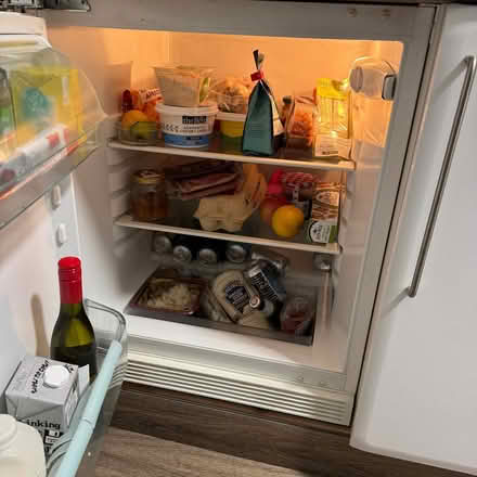 Photo of free Under counter fridge (The Lanes BN1) #1