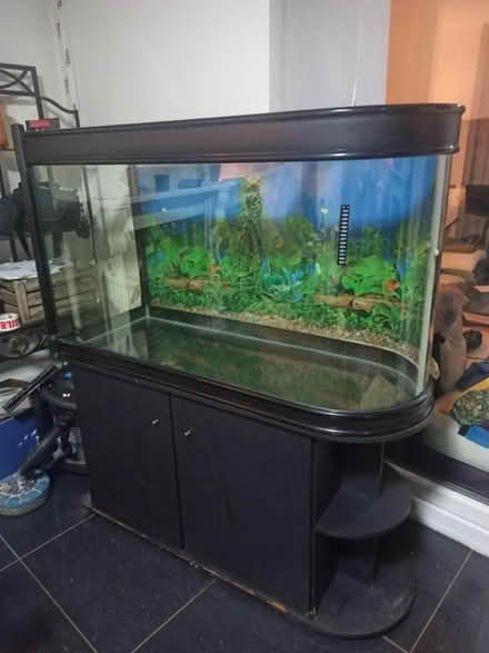 Photo of free Aquarium, 80 gallon, 300 litre (Saville Park HX1) #1