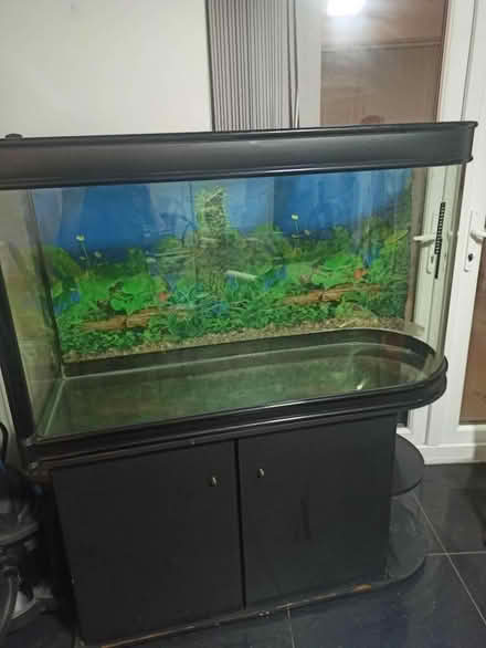 Photo of free Aquarium, 80 gallon, 300 litre (Saville Park HX1) #2