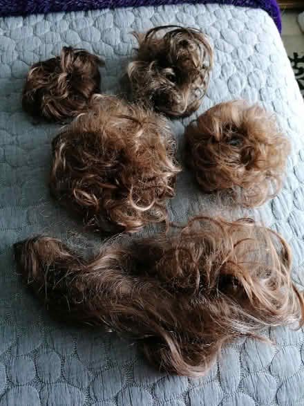 Photo of free Hair accessories (Langney BN23) #1