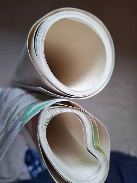 Photo of free 2 end rolls of wallpaper (Woodley RG5) #1