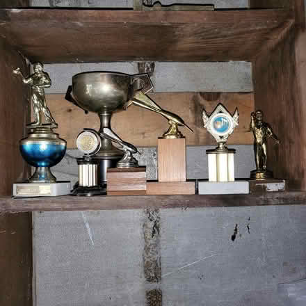 Photo of free Trophies (Dublin) #4
