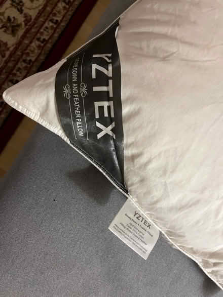 Photo of free Goose down feather pillow (SE1) #2
