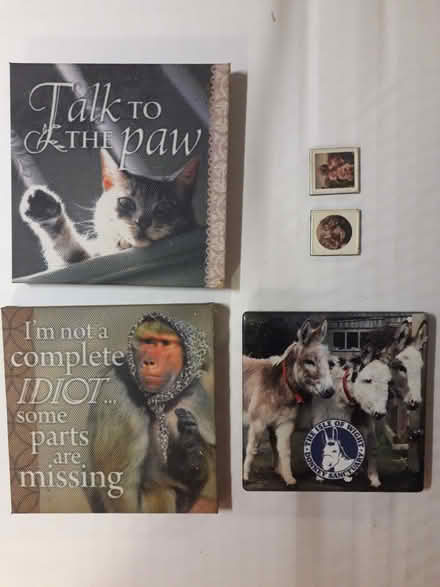 Photo of free Fridge Magnets (Colchester CO1) #1