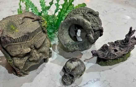 Photo of Fish tank ornaments (Moreton) #1