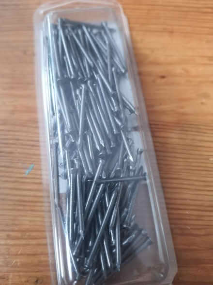 Photo of free Panel pins 25mm (N2 East Finchley) #2
