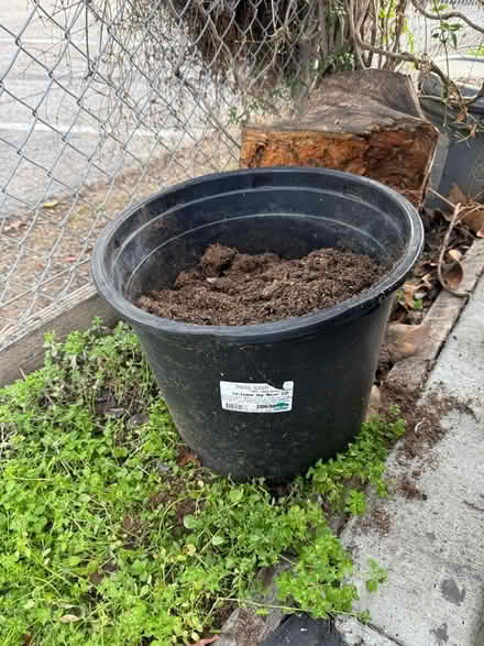 Photo of free Large plastic pot with potting soil (Valencia Avenue, Sunnyvale) #1