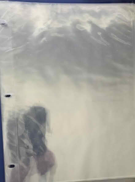 Photo of free Binder and sheet protectors (Maywood Park Santa Clara) #2