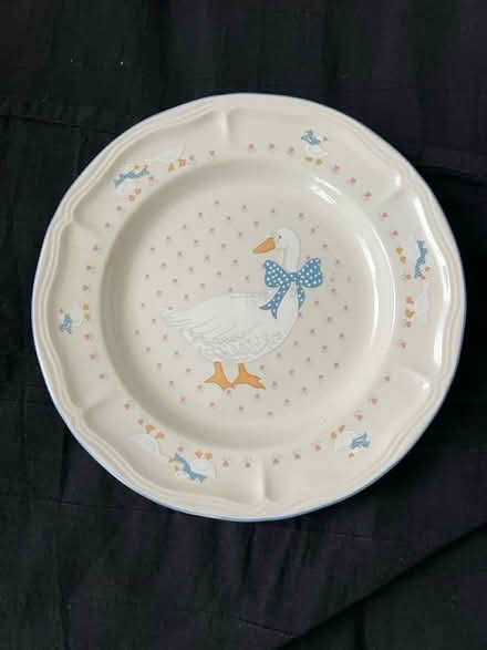 Photo of free Duck plate (East Kilbride) #1
