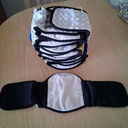 Photo of free Dog Incontinence nappies (Waterlooville PO8) #1