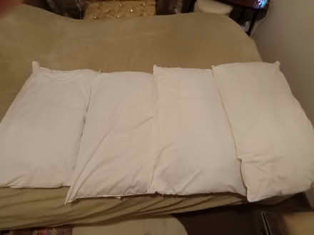 Photo of free 4 pillows (CT6) #3