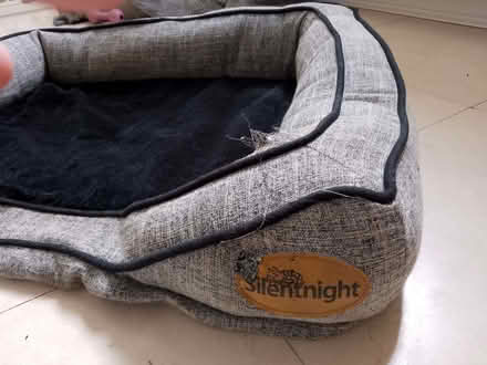 Photo of free Dog bed (medium size) (Jennyfield HG3) #2